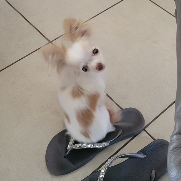 All reasonable offers considered. - Picture 6 of 6